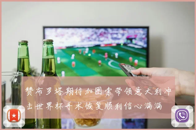 赞布罗塔期待加图索带领意大利冲击世界杯手术恢复顺利信心满满